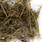 SISAL FIBRE MATERIALE PER NIDO PSITTACIDI 50GR
