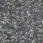 ORNITALIA MISCELA GREG CARDELLINI, FANELLI NEGRITI E TRISTIS 5KG