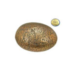 NOBBY ORNAMENTI AQUA STONE GOLD L11 x W10 x H7 cm