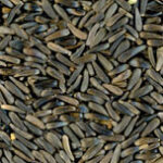 RAGGIO DI SOLE NIGER 1KG