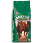 PURINA HORSE DYNAMISM (EX COUNTRY CHIPS) 25KG