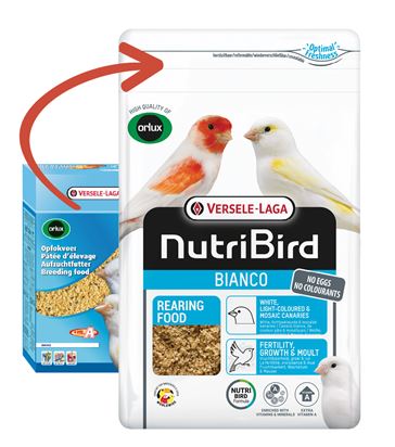 NUTRIBIRD PATE' CANARINI BIANCO SEMISECCO 1KG CRUMBLE