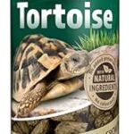 d TTR TORTOISE 1 L
