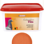 VERSELE-LAGA COLOMBINE VITA (SALI MINERALI + VITAMINE + ANICE) 4KG