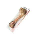 ZOLUX OSSO FEMORE MEDIO 18CM 170GR