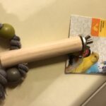 ZOLUX TRESPOLO IN LEGNO + CORDA ASS S