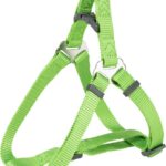 TRIXIE PREMIUM PETTORINA EASY, XS-S, 30-40CM/10MM VERDE in esaurimento