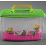 RAGGIO DI SOLE ACQUARIO PLASTICA AQUA FUN 9 LT