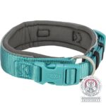 TRIXIE PREMIUM COLLARE ALTO IMBOTTITO XS-S 27-35CM/25MM ACQUA MARINA