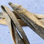 WILD BITE PELLE DI SALMONE 50G