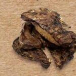 WILD BITE POLMONI DI BOVINO150G