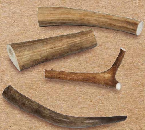 WILD BITE RENNA XS 15-25gr