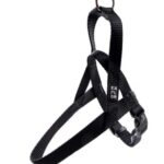 d LG EX PETT CLASS NERA XL 80-100CM/25MM