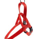 d LG EX PETT CLASS ROSSA XS 30-40CM/15MM