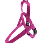 d LG EX PETT FASH FUCS XL 80-100CM/25MM