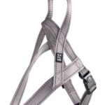 d LG EX PETT SAFE GRIG XS 30-40CM/15MM