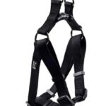 d LG EX PETT STEP IN CLASS NERA S 40 50CM/15MM