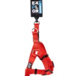 d LG EX PETT STEP IN CLASS ROSSA XXS 30 35CM/15MM