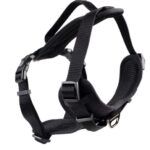 d LG EX PETT Y CLASS NERA XS 18-28CM-33-40CM/15MM