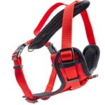 d LG EX PETT Y CLASS ROSSA XS18-28CM-33-40CM/15MM