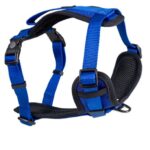 d LG EX PETT Y FASH BLU S 20-40CM 39-50CM/15MM