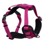 d LG EX PETT Y FASH FUCS XL 40-70CM 70-100CM/25MM