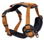d LG EX PETT Y FASH MARR L 36-66CM 60-80CM/25MM