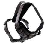 d LG EX PETT Y SAFE GRIG XL 40-70CM - 70-100CM/25MM