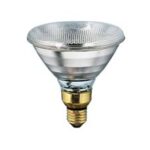 LAMPADINA 100W PHILIPS BIANCA