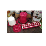 RAGGIO DI SOLE KIT POLLI FUXIA SET 4PZ