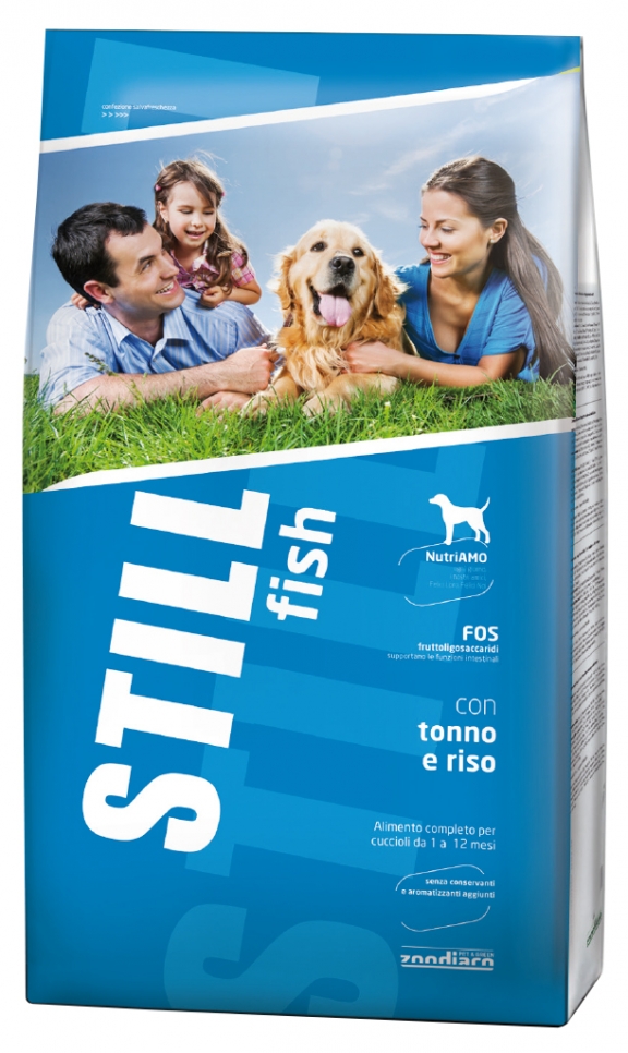STILL DOG FISH 15 KG