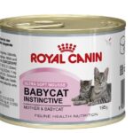 d ROYAL CANIN CAT BABYCAT WET 195G
